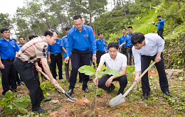 Ngọn lửa tình nguyện - Đoàn trường THPT Thái Phiên - Hải Phòng