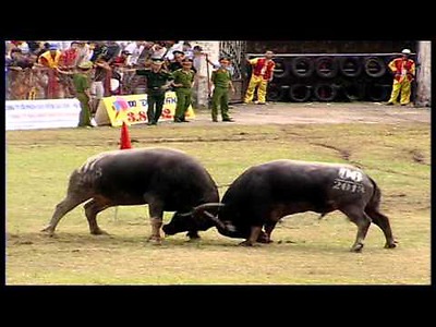 Phóng sự Hải Phòng thành phố tôi yêu (THPT Lê Qúy Đôn, quận Hải An)