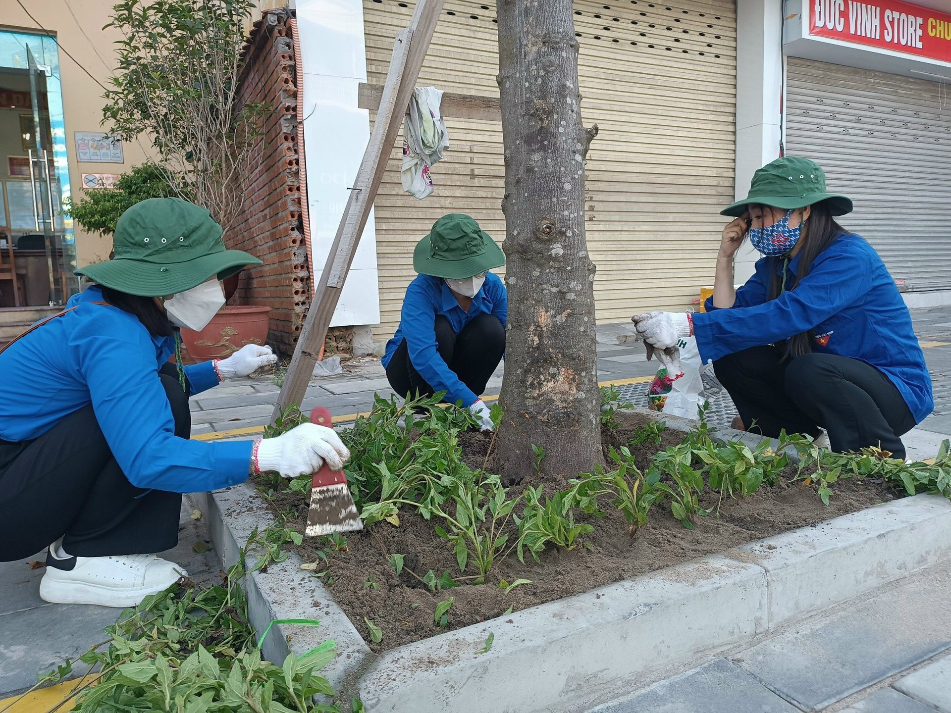 TRỒNG CÂY “VÌ MỘT VIỆT NAM XANH