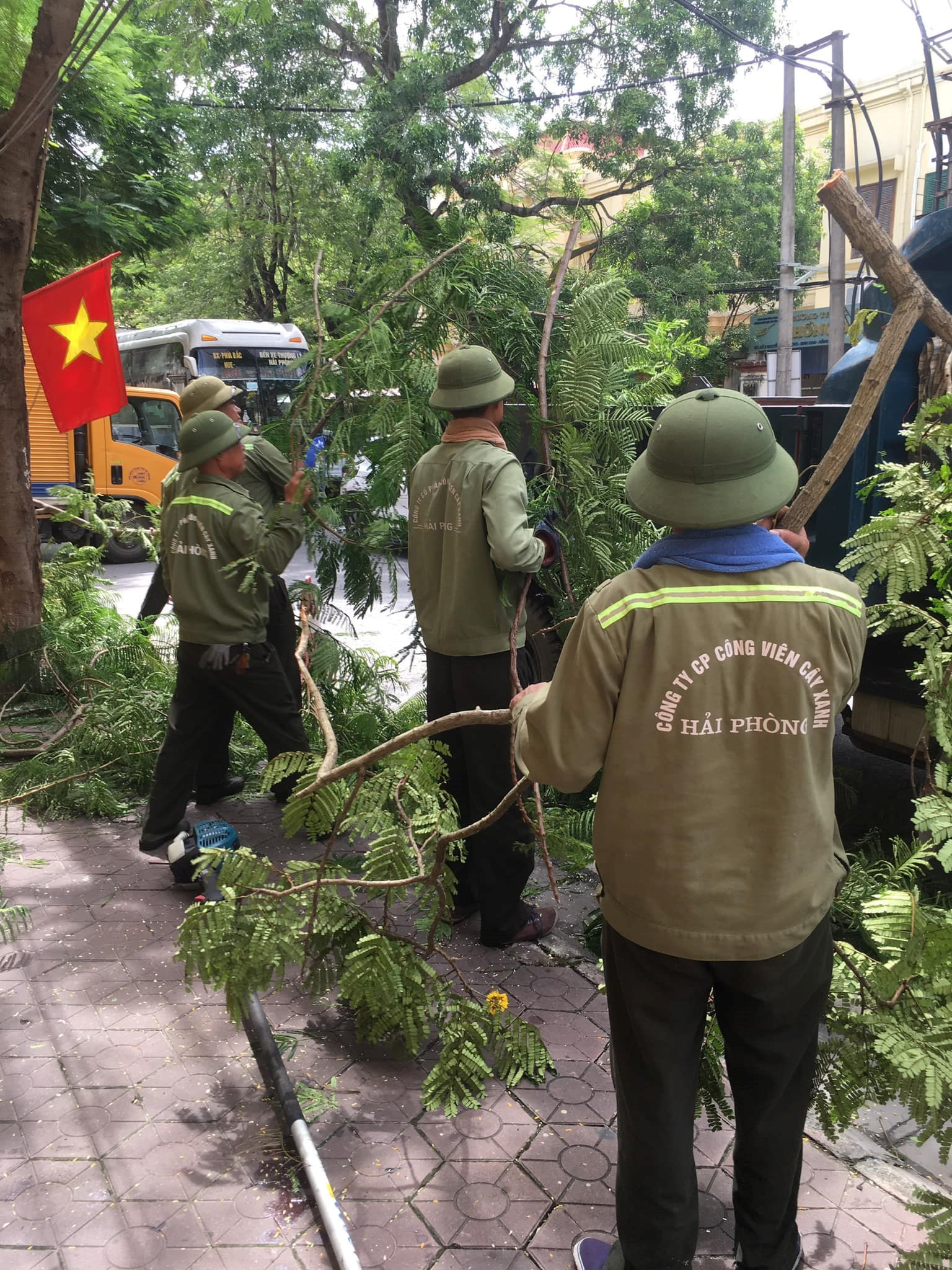 NGÀY CHỦ NHẬT XANH NĂM 2022