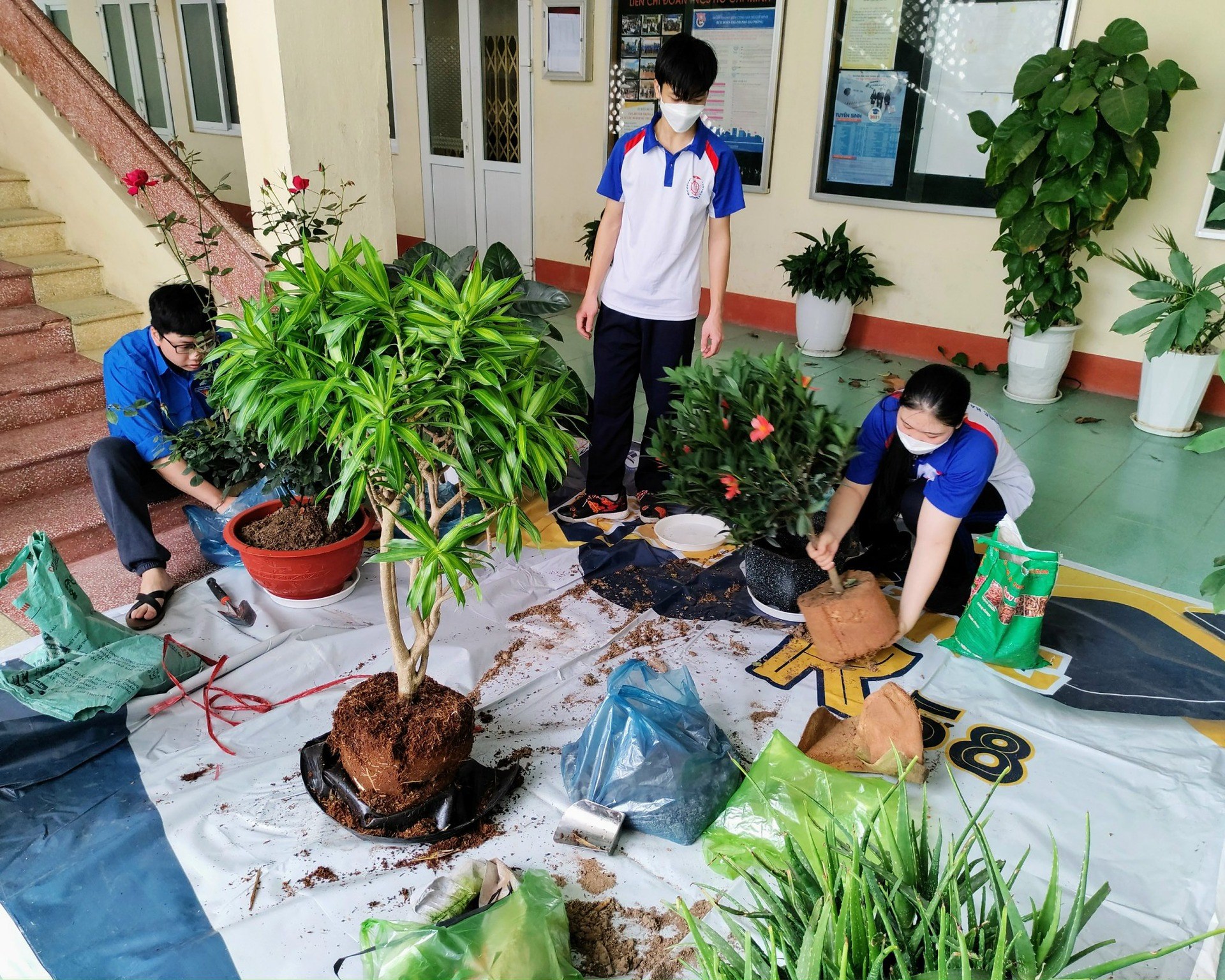 Chủ nhật xanh - Thu gom rác thải nhựa