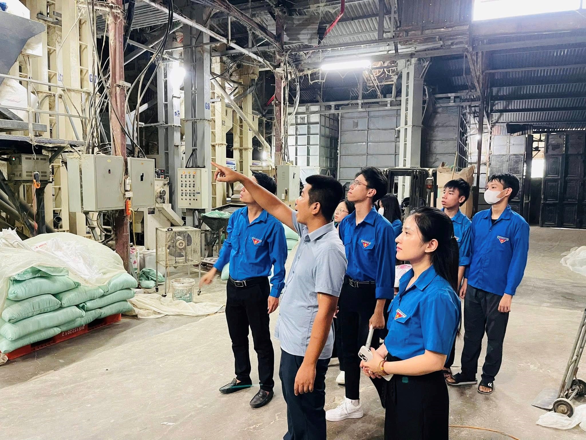 Mô hình thanh niên phát triển kinh tế LIÊN KẾT SẢN XUẤT LÚA VÀ XỬ LÝ CHẾ BIẾN TIÊU THỤ SAU THU HOẠCH