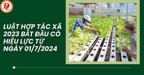 LUẬT HỢP TÁC XÃ (HTX) 2023