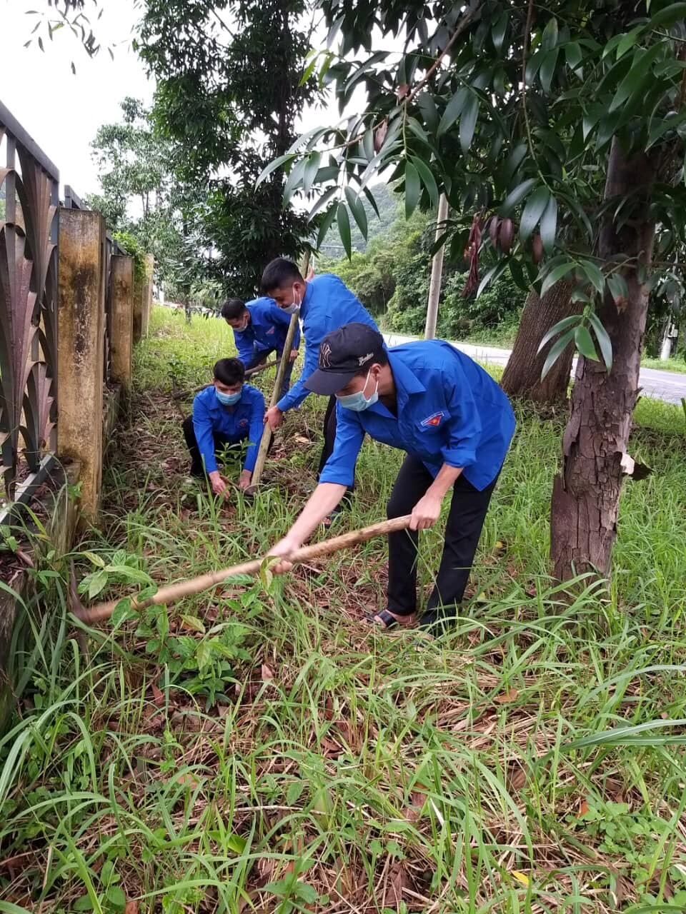 Gìn giữ màu xanh quê hương