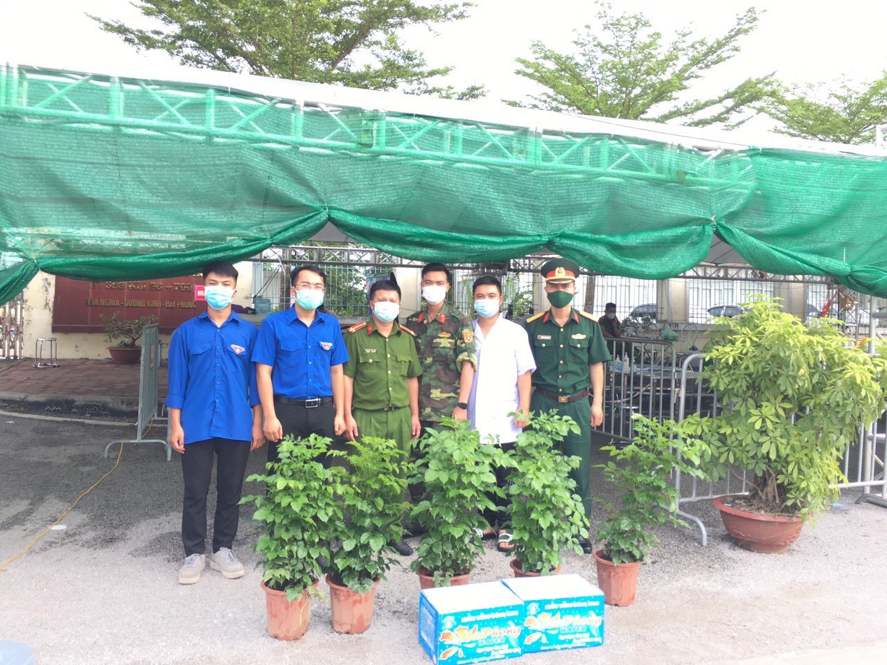 Tổ chức các hoạt động trồng cây xanh trên địa bàn quận