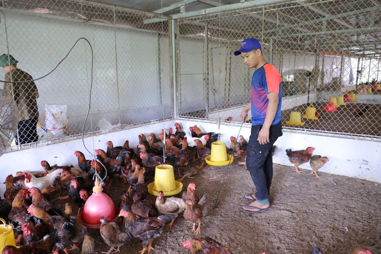 Thời gian qua, nhiều đoàn viên thanh niên trên địa bàn phường Nguyễn Trãi đã phát huy vai trò năng động, sáng tạo trong việc tìm những hướng đi mới để phát triển kinh tế, vươn lên làm giàu