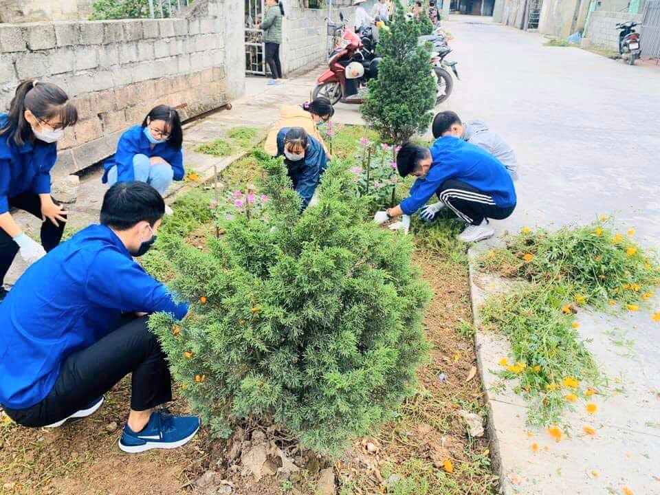 Huyện đoàn An Dương Hưởng ứng Ngày chủ nhật xanh toàn quốc