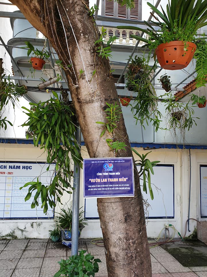 Trung tâm GDNN - GDTX quận Hải An: Công trình thanh niên chào mừng Đại hội Đoàn TNCS Hồ Chí Minh các cấp nhiệm kỳ 2022 - 2027
