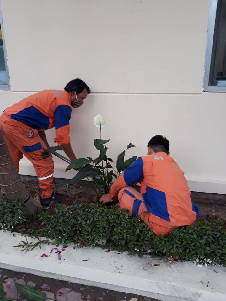 Đoàn thanh niên Điện Lực Hải Phòng hưởng ứng ngày Chủ nhật xanh 28/5/2023