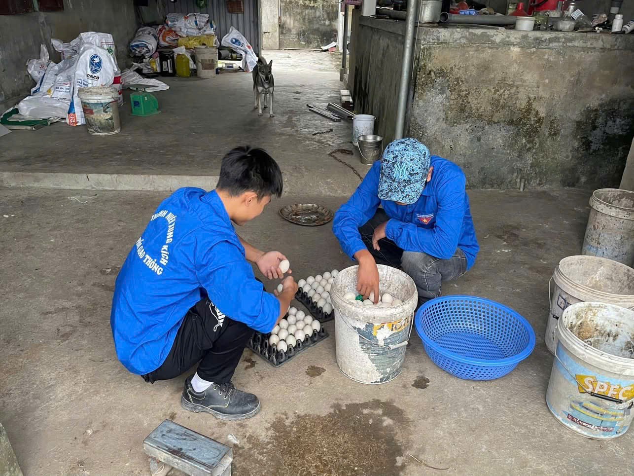 BTV Đoàn - Hội LHTN Việt Nam quận Dương Kinh hỗ trợ chủ thể là đoàn viên, thanh niên đăng ký tham gia chương trình "Mỗi xã một sán phẩm OCOP" năm 2024