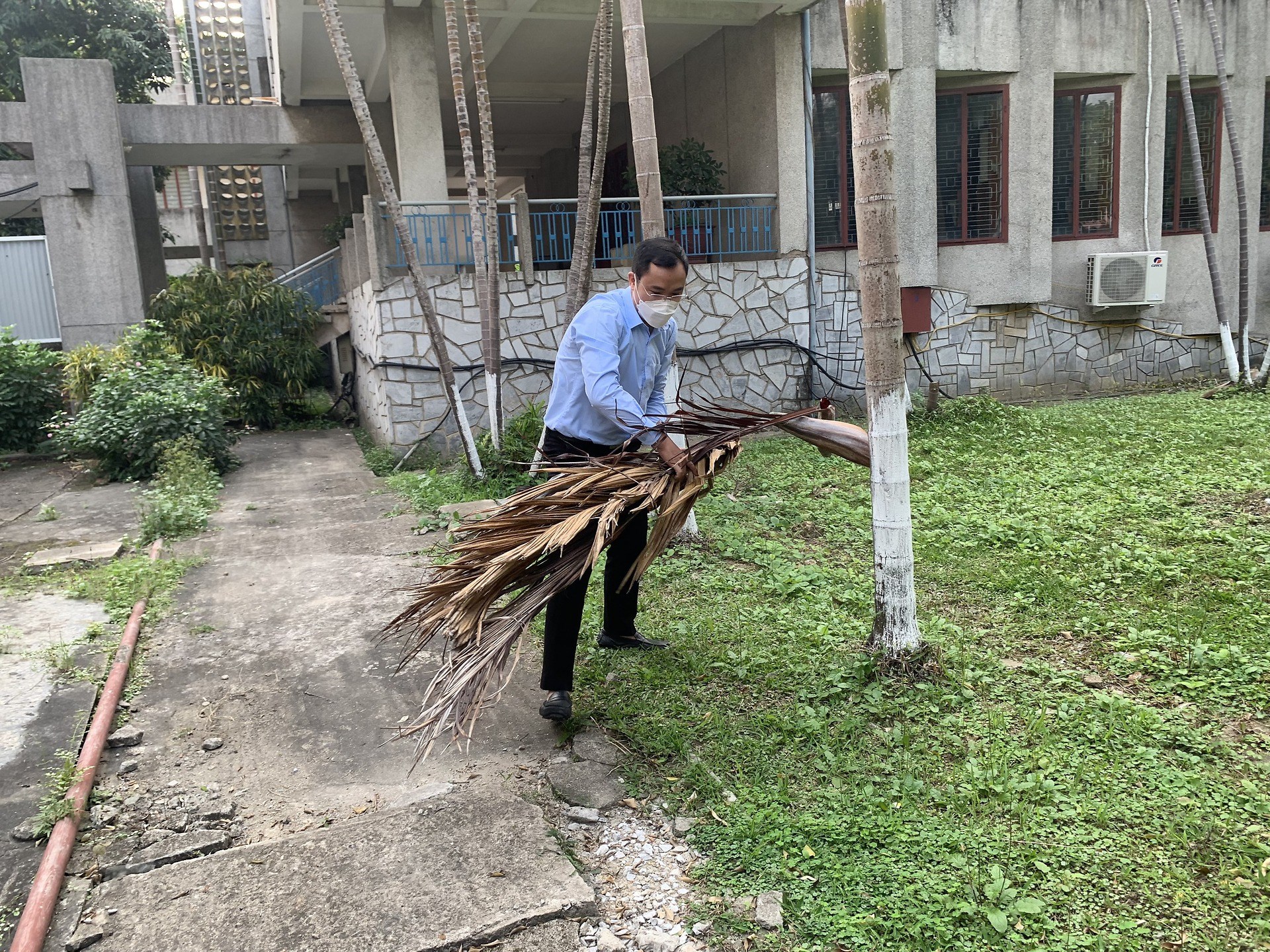 ĐTN VOSCO Ra quân "Ngày Chủ nhật xanh"