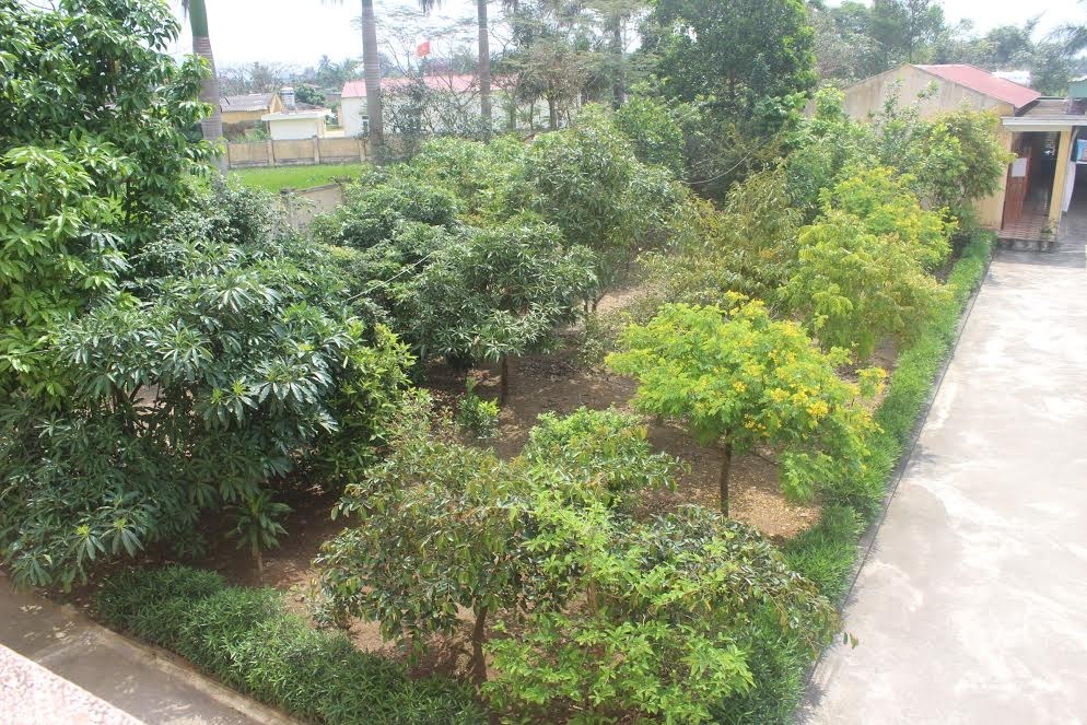 Công trình thanh niên cấp huyện "Vườn cây ăn quả" của Trường THPT Quốc Tuấn chào mừng kỷ niệm 86 năm ngày thành lập Đoàn TNCS Hồ Chí Minh (26/3/1931-26/3/2017)