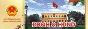 hội đồng nhân dân