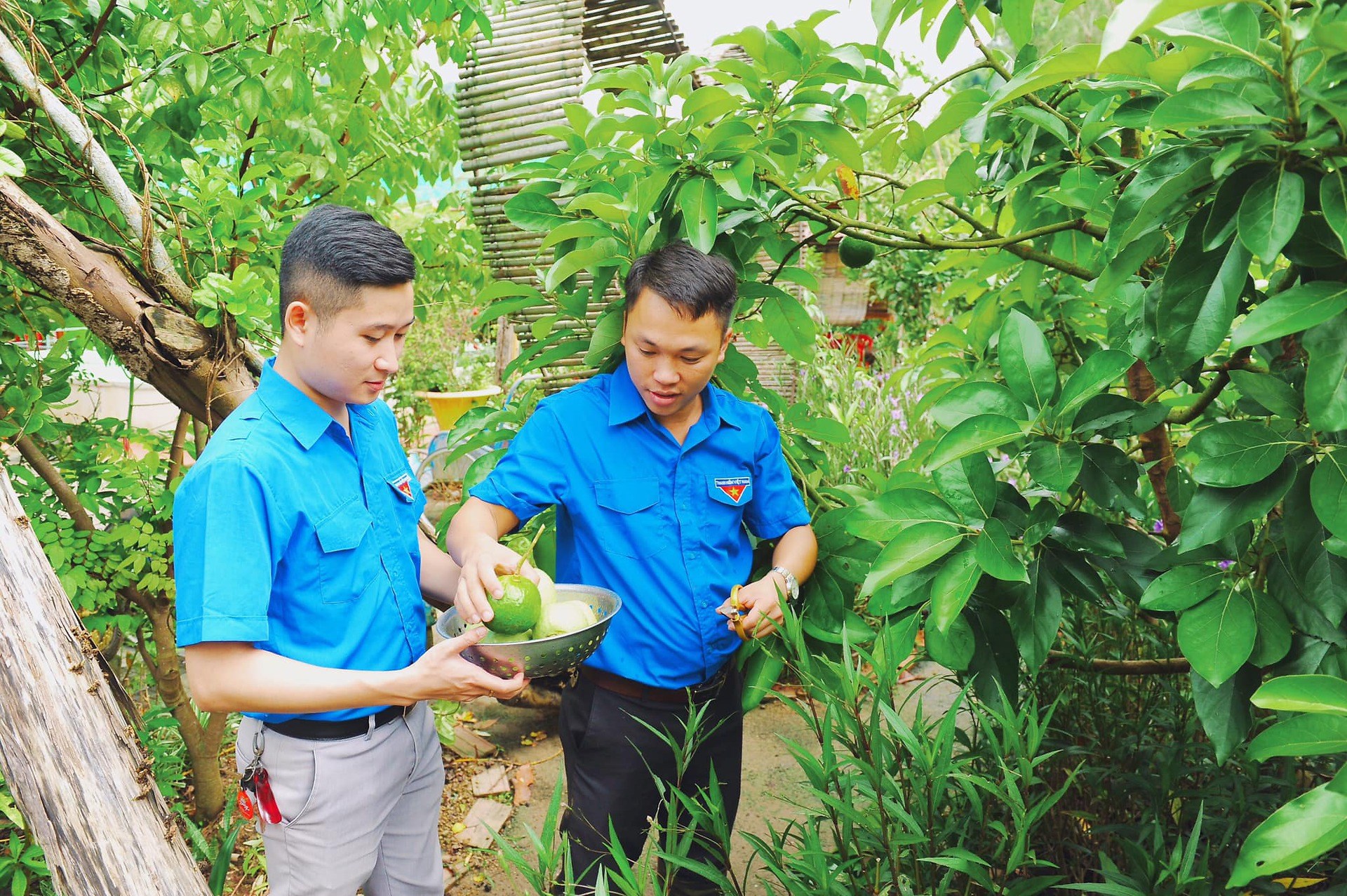 [TÁC PHẨM DỰ THI GIẢI BÁO CHÍ VỀ CÔNG TÁC ĐOÀN & PHONG TRÀO THANH THIẾU NHI THÀNH PHỐ NĂM 2024] - KỲ 2: DẤU ẤN THANH NIÊN TRONG XÂY DỰNG NÔNG THÔN MỚI TẠI HUYỆN CÁT HẢI