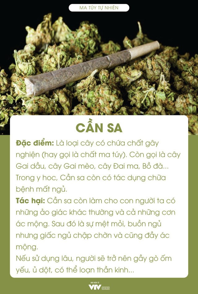 TUYÊN TRUYỀN PHÒNG, CHỐNG MA TUÝ TRONG THANH THIẾU NHI THÀNH PHỐ HẢI PHÒNG