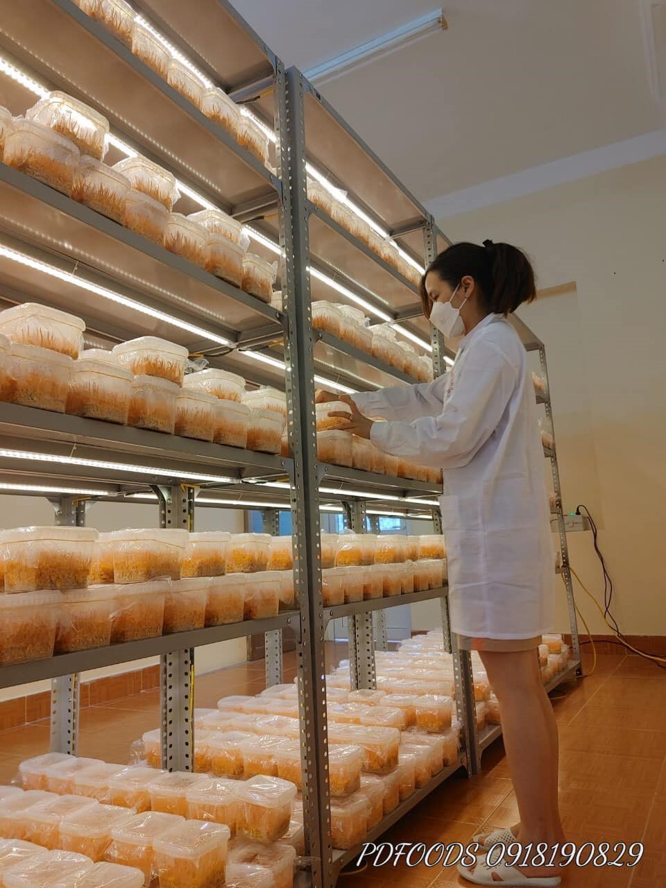 NGÔ THỊ THU PHƯƠNG – CÔ KỸ SƯ TRẺ TÀI NĂNG VỚI NIỀM ĐAM MÊ NGHIÊN CỨU KHOA HỌC