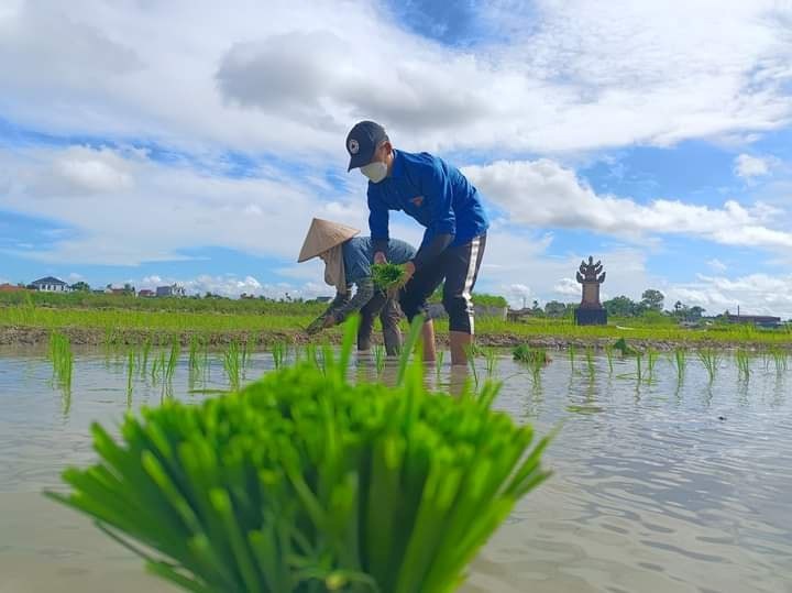 MÔ HÌNH CHIẾN DỊCH MÙA HÈ XANH NĂM 2022 - ĐỒNG HÀNH CÙNG NHÀ NÔNG