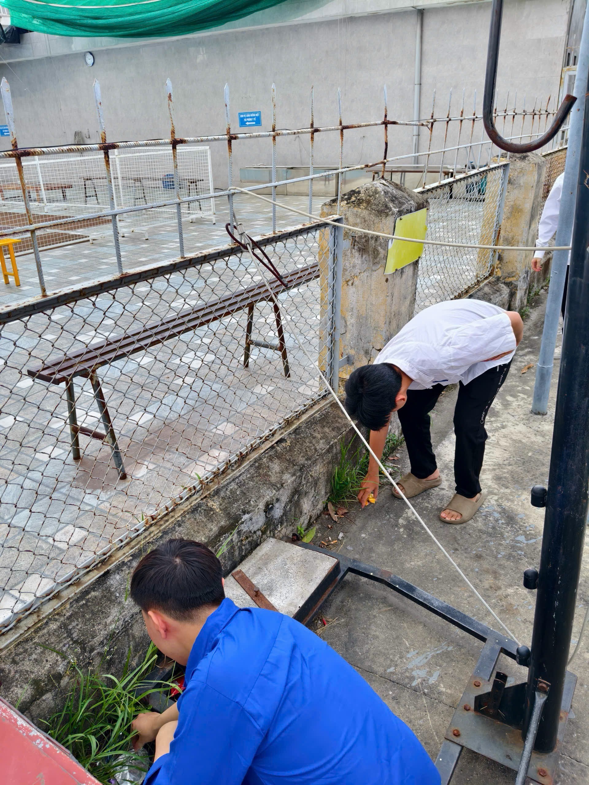 ĐOÀN TRƯỜNG CAO ĐẲNG HÀNG HẢI VÀ ĐƯỜNG THỦY I TỔ CHỨC NGÀY CHỦ NHẬT XANH 21/9/2025