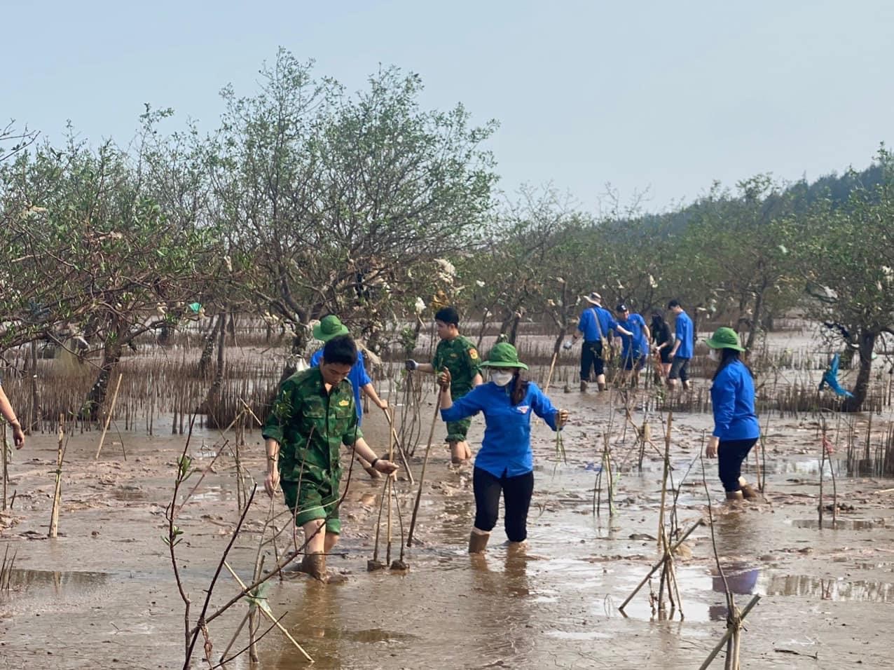 Chương trình trồng cây phòng hộ ven biển