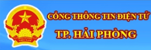 cổng thông tin điện tử