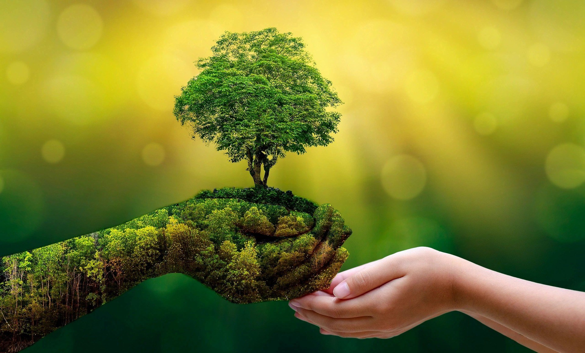 Quận đoàn Đồ Sơn: Tuyên truyền pháp luật trên không gian mạng - Luật