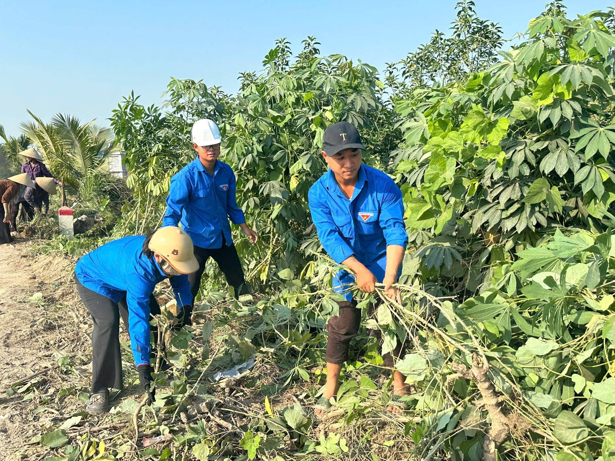 TUỔI TRẺ KIẾN HƯNG RA QUÂN VỆ SINH MÔI TRƯỜNG - CHỦ NHẬT XANH NGÀY 21-9-2025