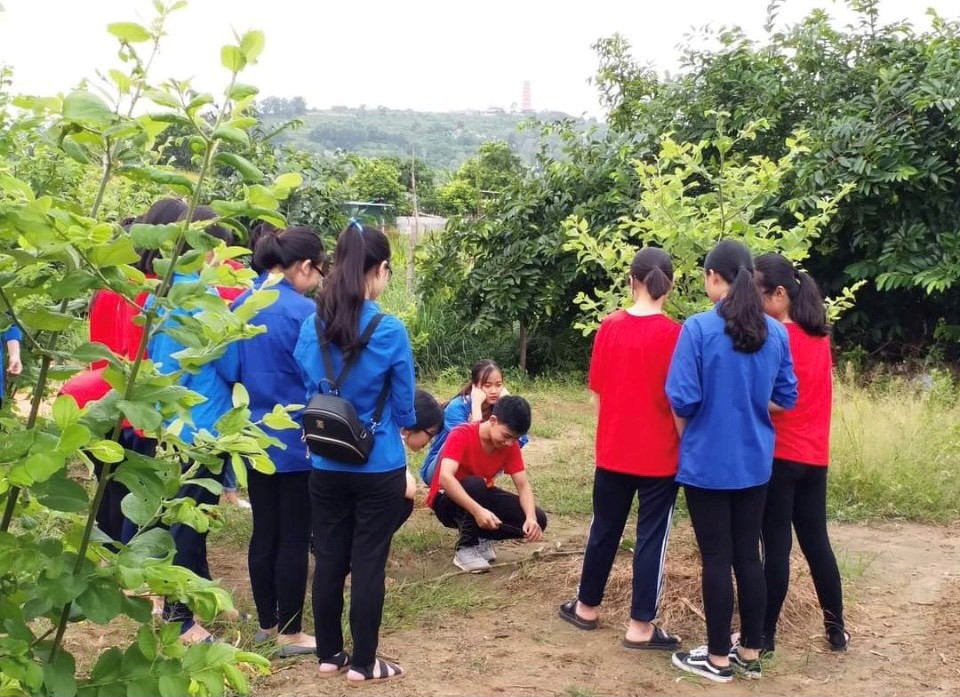 Trải nghiệm 01 ngày làm nông dân, thực hành Kỹ năng ghép mắt táo cho học sinh PTNT Đồ Sơn