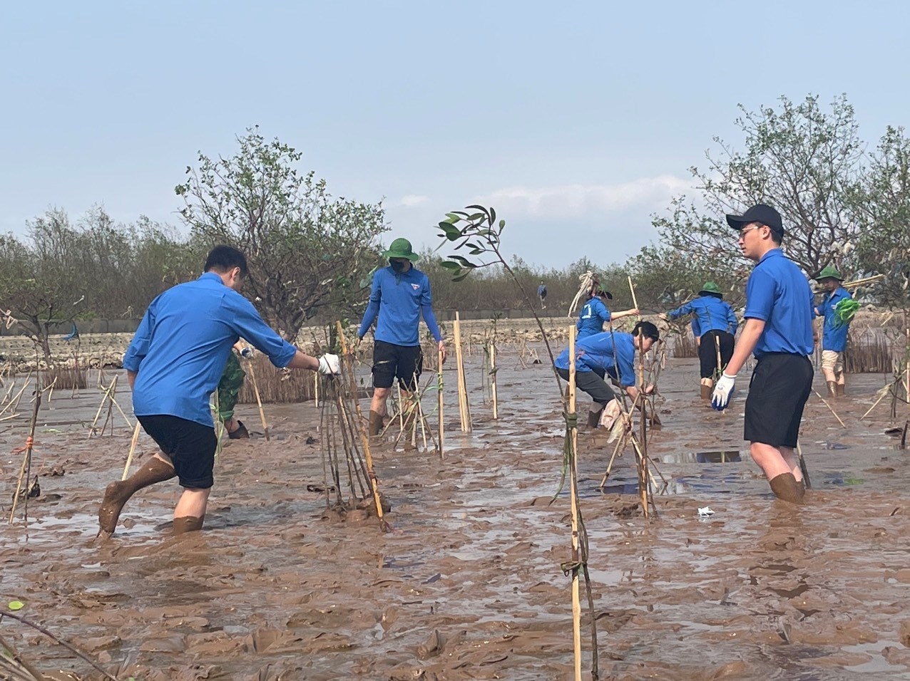 TUỔI TRẺ KHỐI CÁC CƠ QUAN THÀNH PHỐ TÍCH CỰC TRỒNG CÂY XANH HƯỞNG ỨNG CHƯƠNG TRÌNH “VÌ MỘT VIỆT NAM XANH” GIAI ĐOẠN 2021 - 2025 THỰC HIỆN ĐỀ ÁN “TRỒNG MỘT TỶ XÂY XANH GIAI ĐOẠN 2021 - 2025” CỦA THỦ TƯỚNG CHÍNH PHỦ