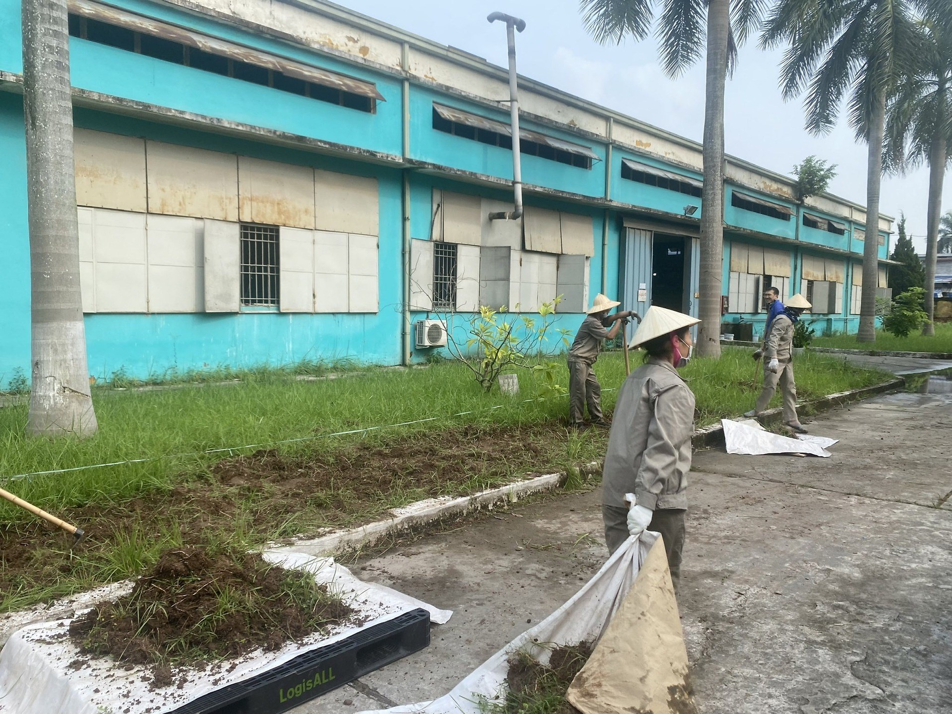 Đoàn thanh niên Công ty Xi măng Vicem Hải phòng ra quân hưởng ứng Ngày Chủ nhật xanh (17/9)