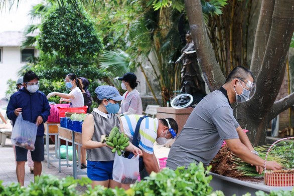 Đi chợ dưới sảnh chung cư: 'Vừa gần, vừa miễn phí'