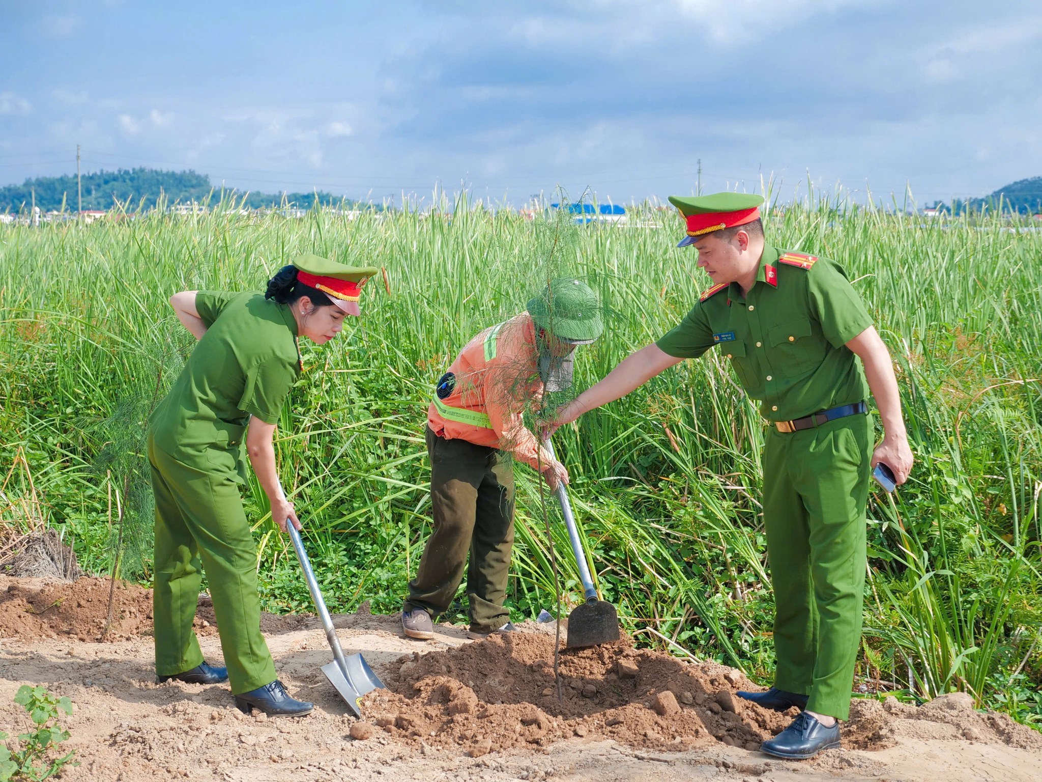 Trồng hơn 40 cây xanh tại khu vực làng nghề Tràng Minh