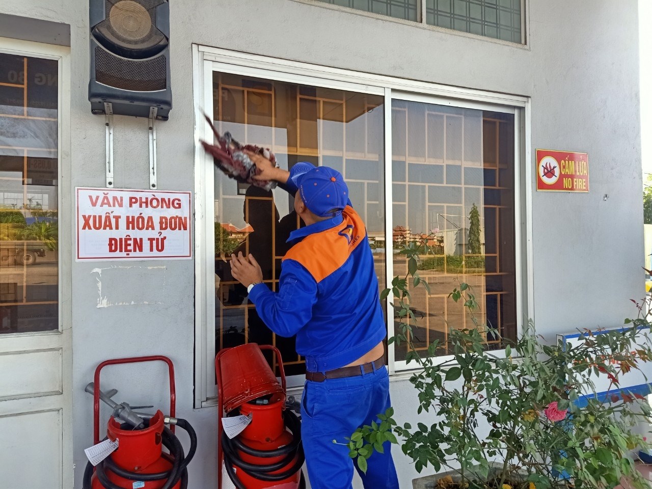 Lan tỏa nét sáng - xanh- sạch - đẹp - an toàn tại Petrolimex Hải Phòng