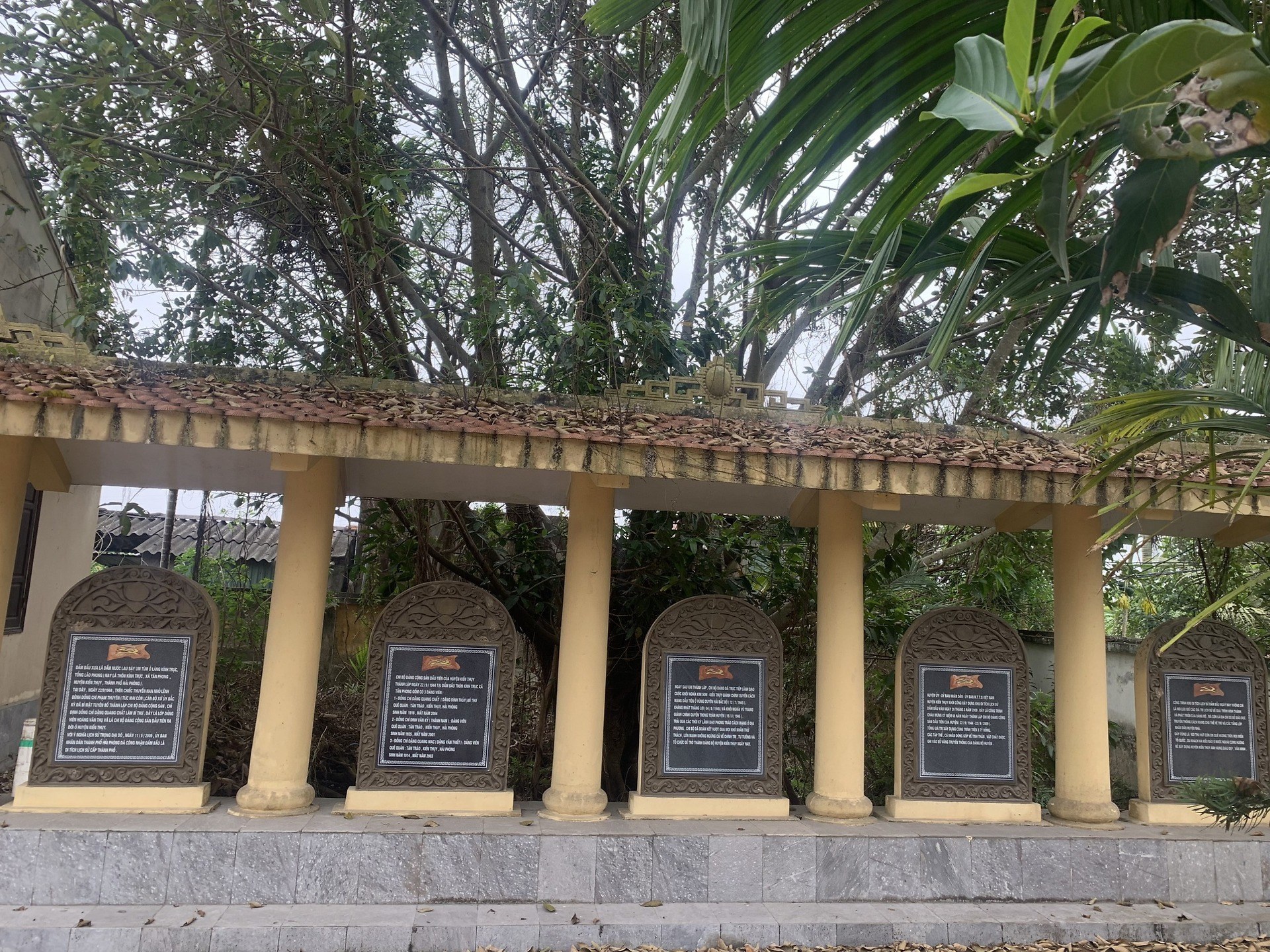 ĐẦM BẦU, XÃ TÂN PHONG, HUYỆN KIẾN THỤY