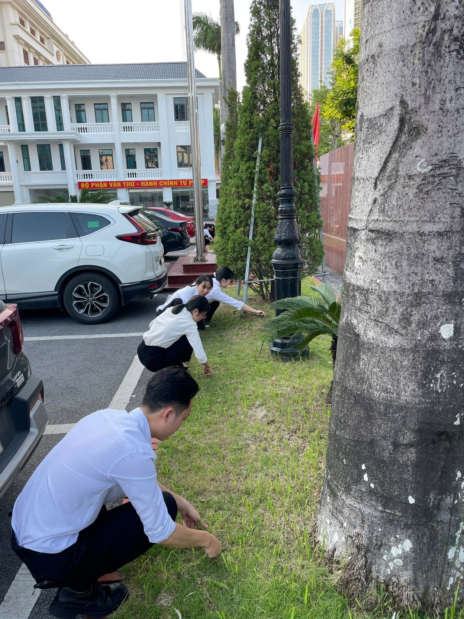Đoàn Các cơ quan Đảng thành phố ra quân hưởng ứng Ngày chủ nhật xanh năm 2025