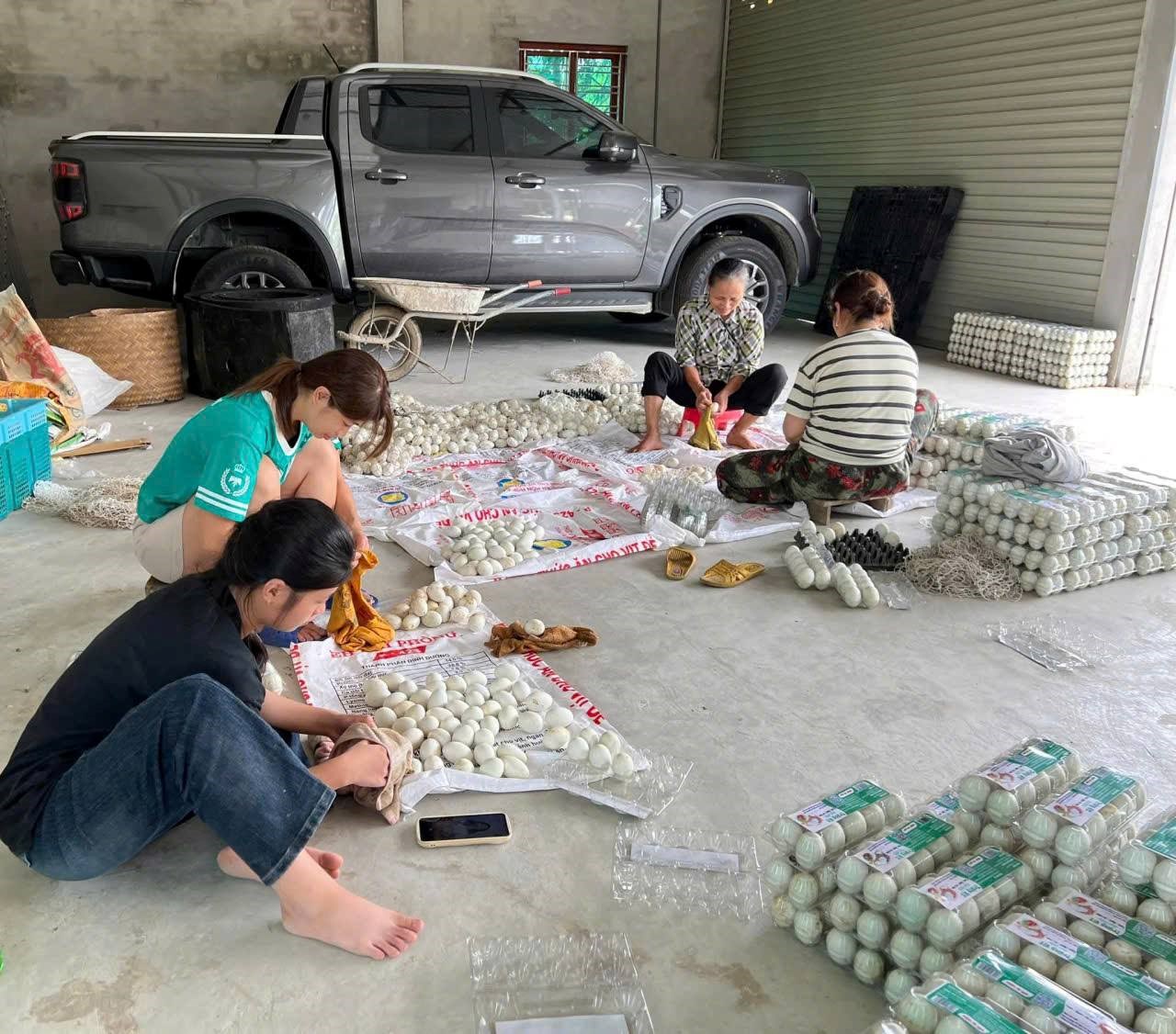 Kim Thành: Gương thanh niên khởi nghiệp tiêu biểu: Chị Vũ Thị Hiền với mô hình nuôi vịt đẻ trứng đạt chuẩn OCOP"