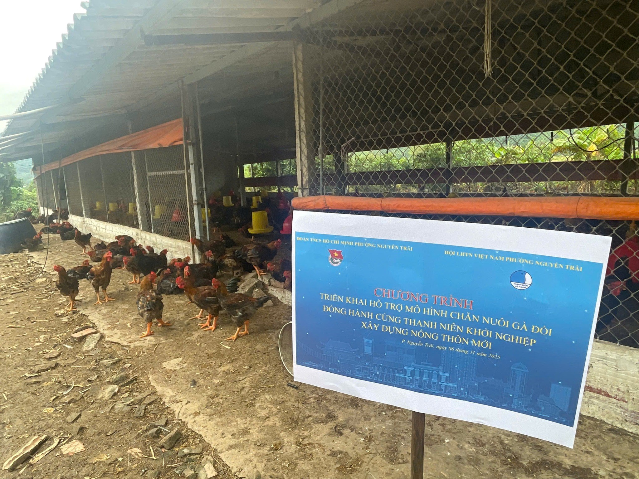 Đoàn Thanh Niên Phường Nguyễn Trãi - Hội Liên hiệp Thanh Niên Phường Nguyễn Trãi triển khai chương trình hỗ trợ cùng thanh niên khởi nghiệp Hưởng ứng Chương trình xây dựng nông thôn mới.