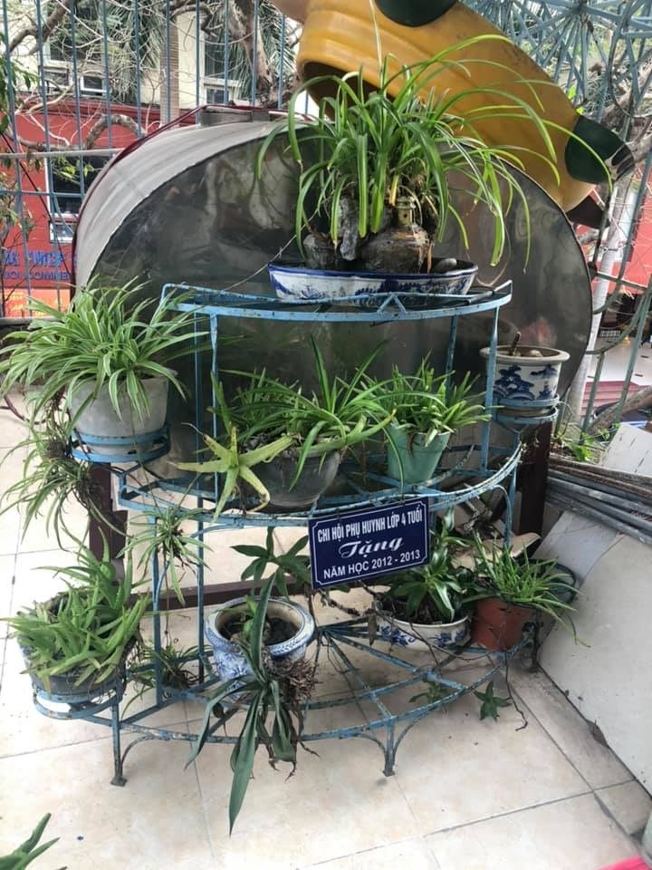 Công trình Thanh niên "Trồng cây nhớ Bác - Vì thành phố xanh"