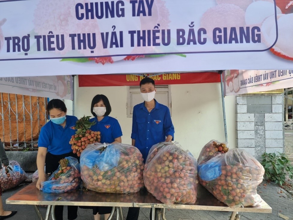 CHI ĐOÀN CỤC QUẢN LÝ THỊ TRƯỜNG HẢI PHÒNG HỖ TRỢ TIÊU THỤ 50 TẤN VẢI THIỀU BẮC GIANG
