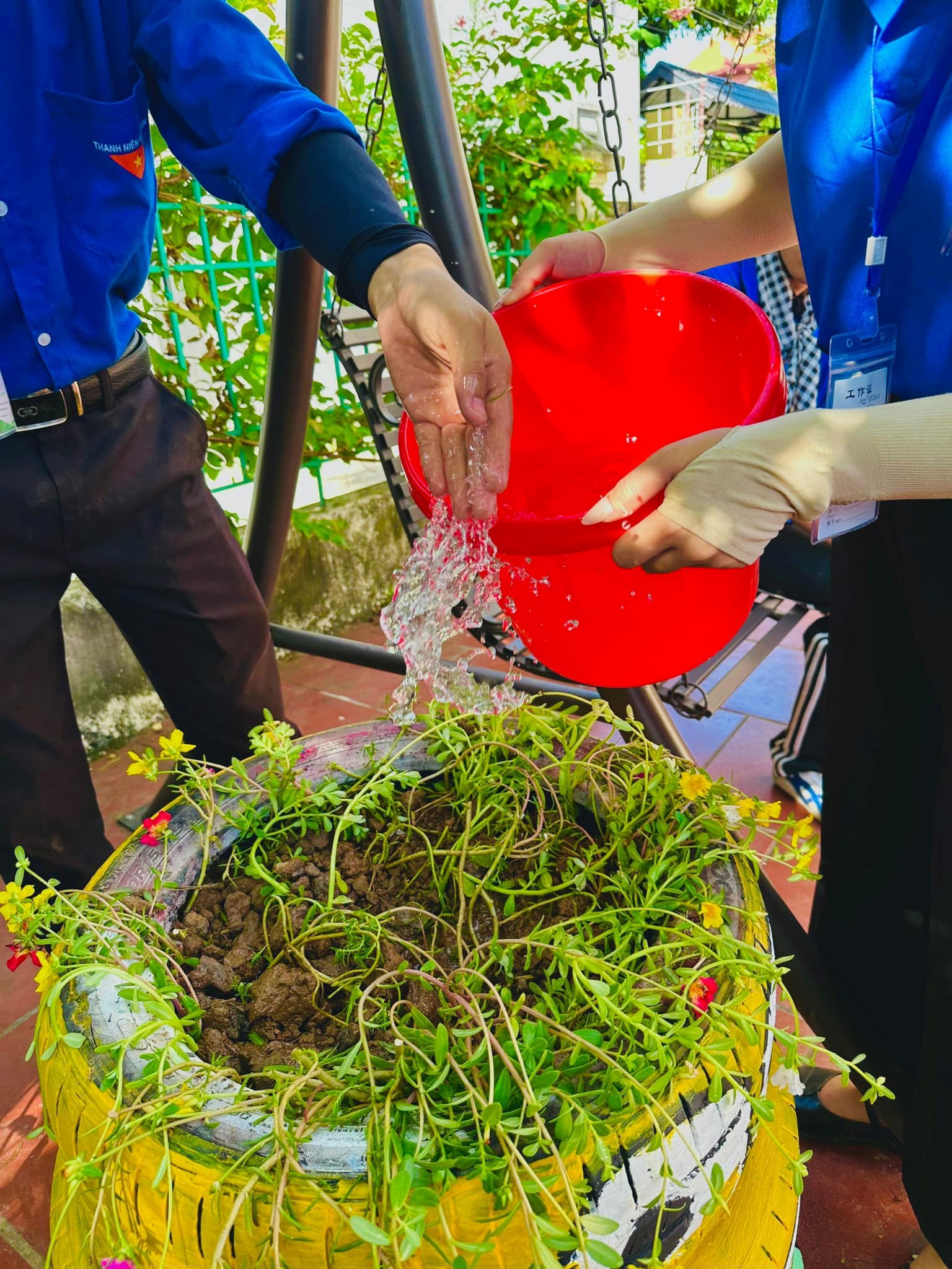 TRỒNG CÂY XANH - CHIẾN DỊCH MÙA HÈ XANH