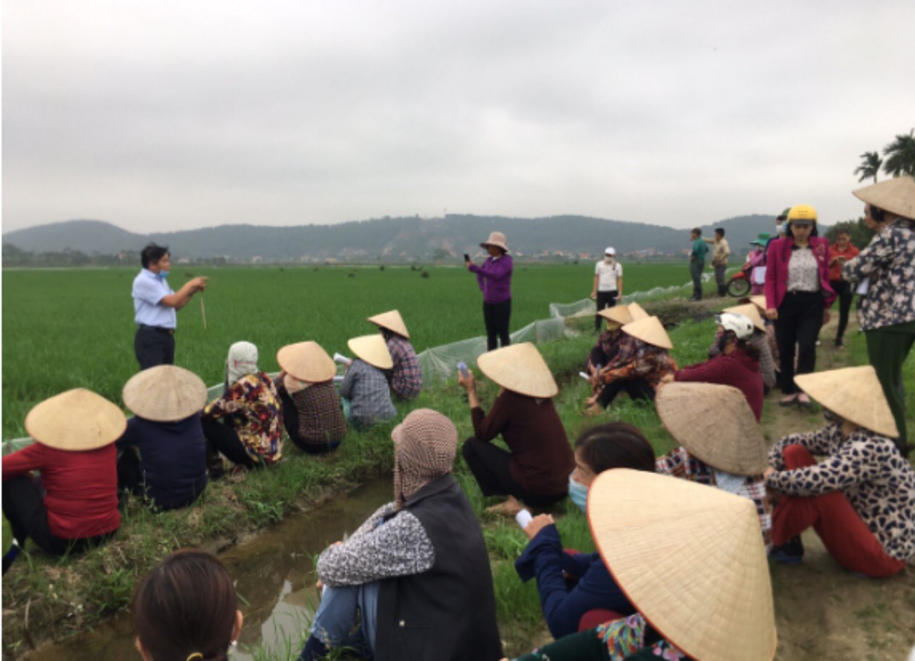 Tuổi trẻ Sở Nông nghiệp và Phát triển nông thôn tích cực chuyển giao khoa học kỹ thuật trong sản xuất nông nghiệp năm 2021