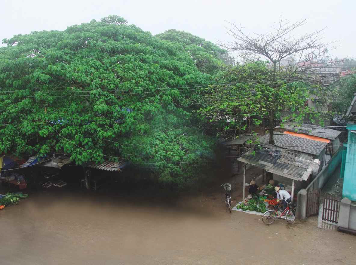 Vị trí của Đình làng Du Lễ  xưa