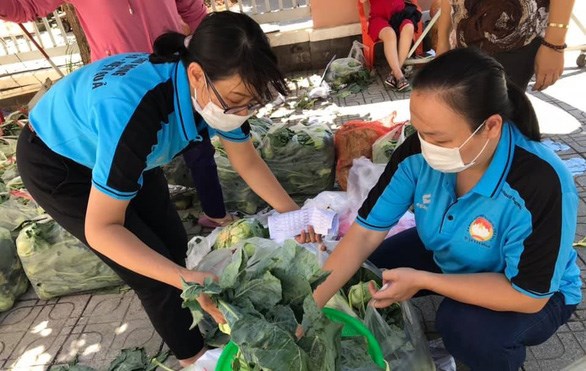 Người Sài Gòn bán bắp cải, su hào giúp nông dân Hải Dương