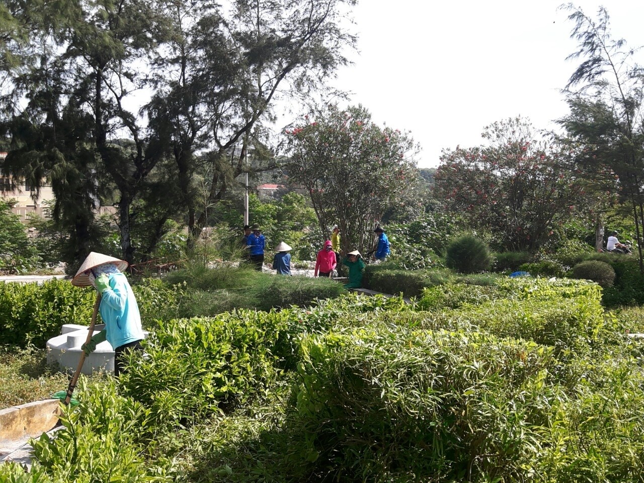 Mô hình "Khu dân cư không có thanh thiếu nhi mắc tệ nạn xã hội" tại huyện đảo Bạch Long Vỹ