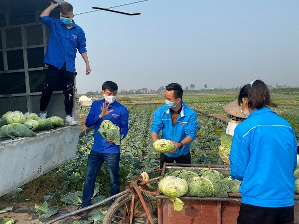 Công trình Thanh niên "Tuổi trẻ Vĩnh Bảo chung tay giải cứu nông sản"