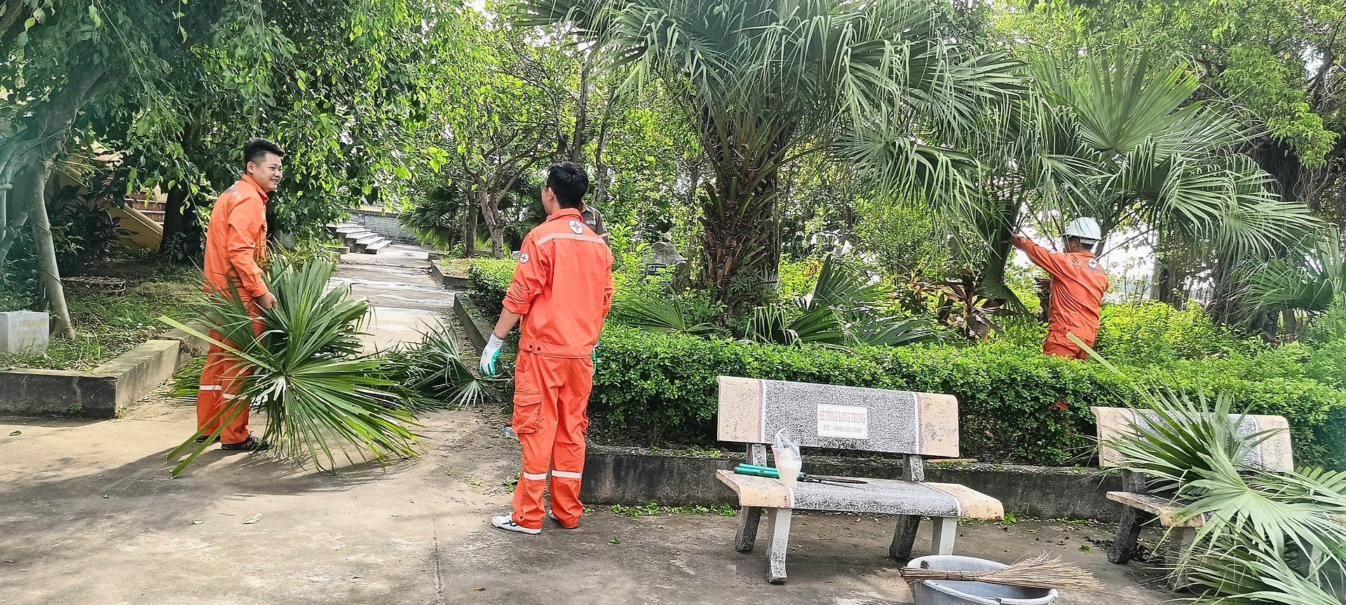 Đoàn thanh niên Điện lực Hải Phòng hưởng ứng ngày Chủ nhật xanh 23/7/2023