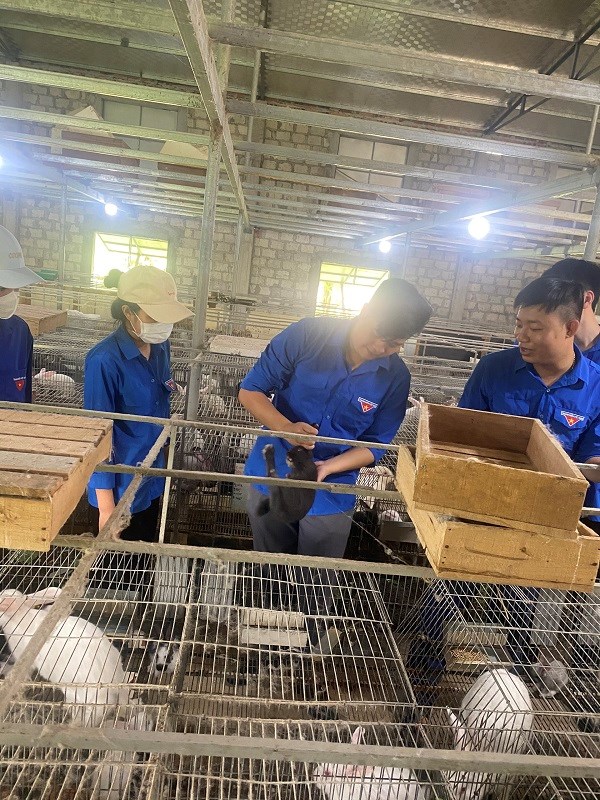 Thăm quan các mô hình kinh tế VAC xã Trấn Dương
