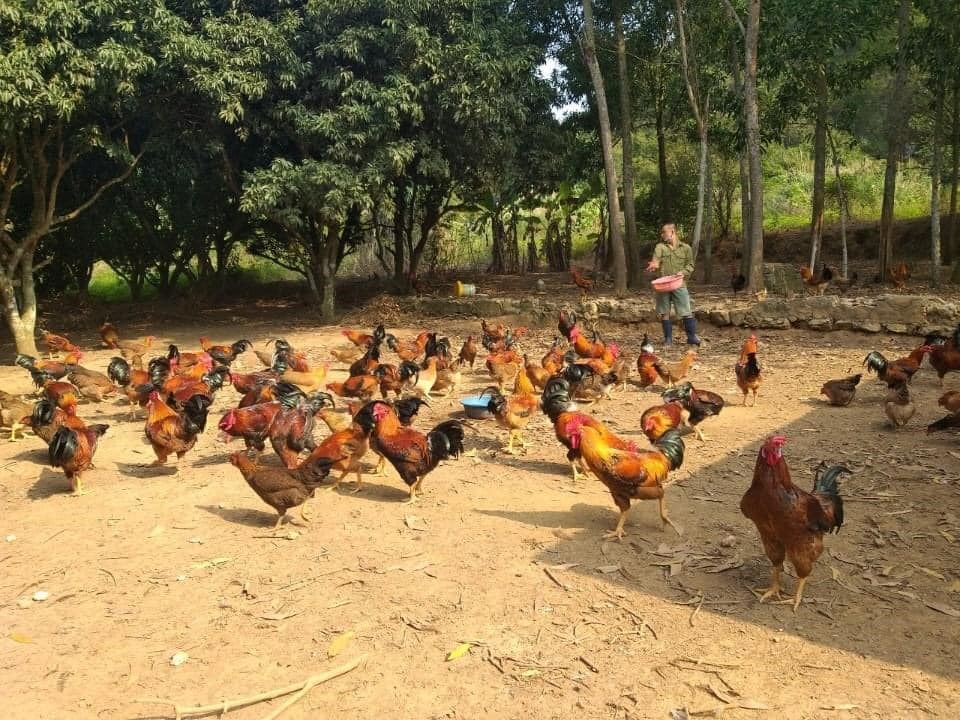 NGƯỜI THANH NIÊN TRẺ VƯỢT KHÓ, KHỞI NGHIỆP